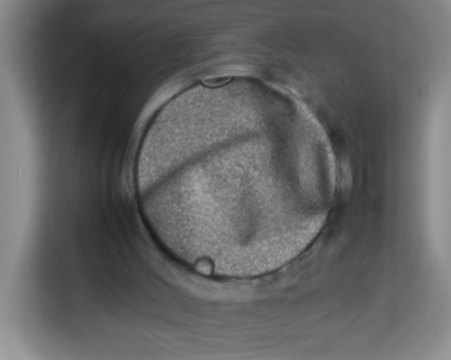X0000113290004200910051110