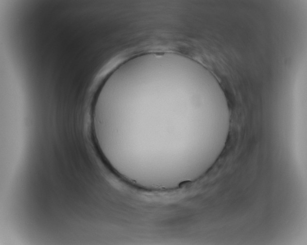 X0000113290005200910051110