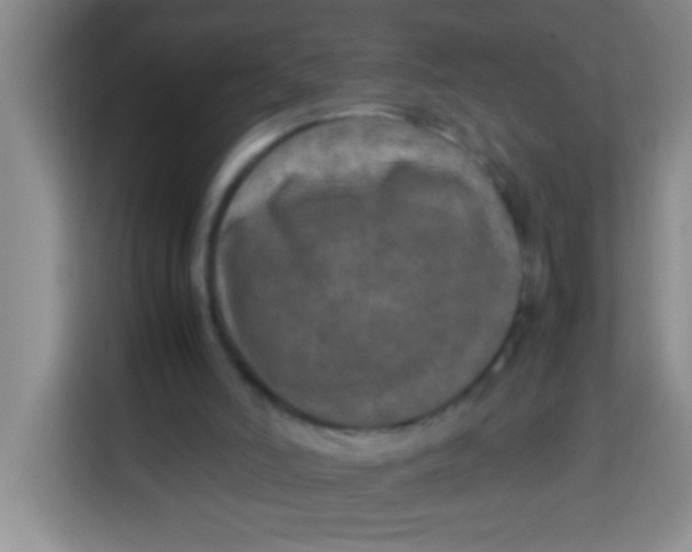 X0000113290006200910051110