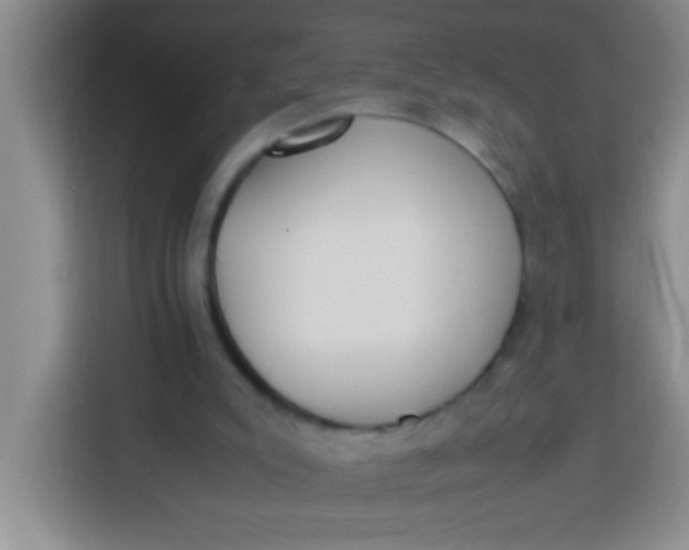 X0000113290007200910051110