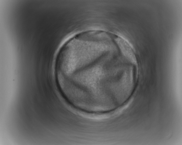 X0000113290008200910051110
