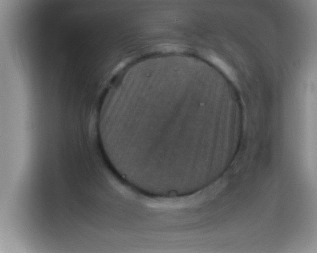 X0000113290009200910051110