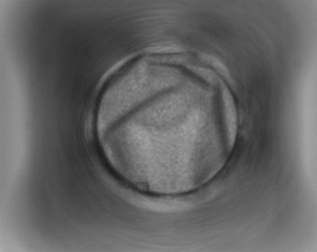 X0000113290012200910051110