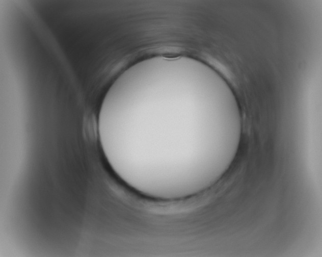 X0000113290013200910051110