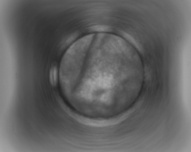 X0000113290014200910051110