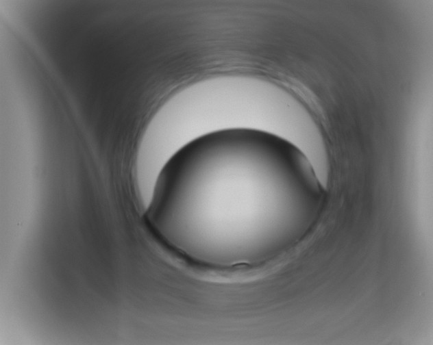 X0000113290017200910051110