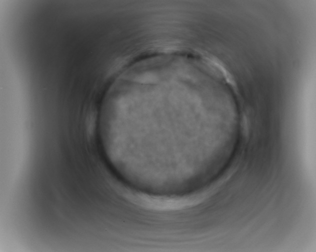 X0000113290018200910051110