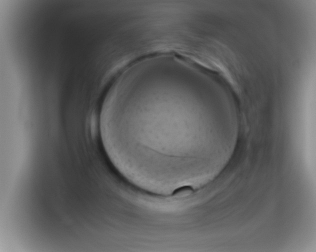 X0000113290019200910051110