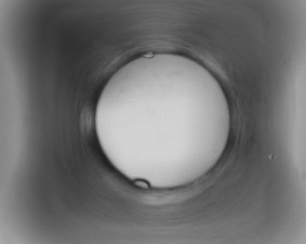 X0000113290021200910051110