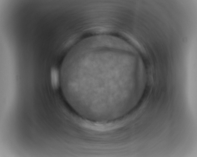 X0000113290022200910051110