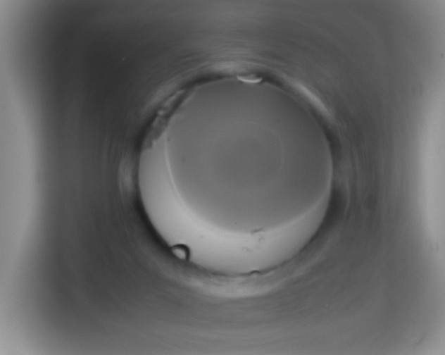 X0000113290023200910051110