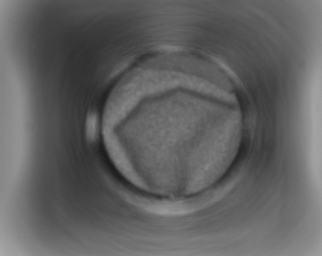 X0000113290024200910051110