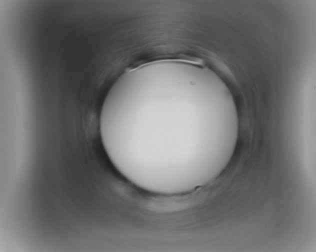 X0000113290025200910051110