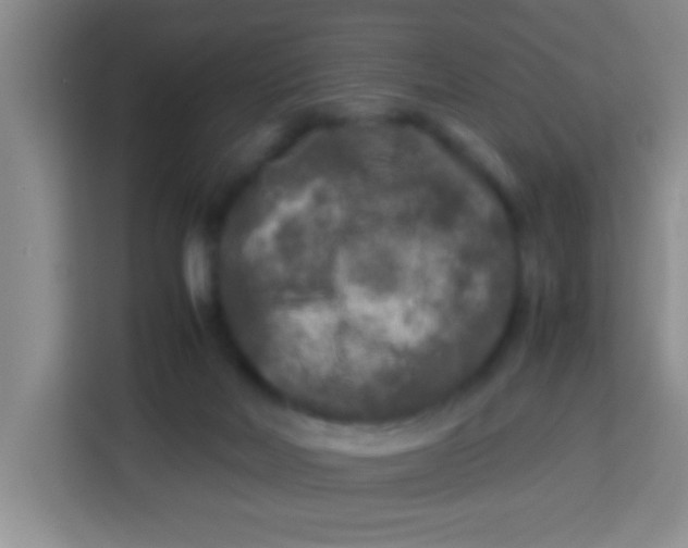 X0000113290026200910051110