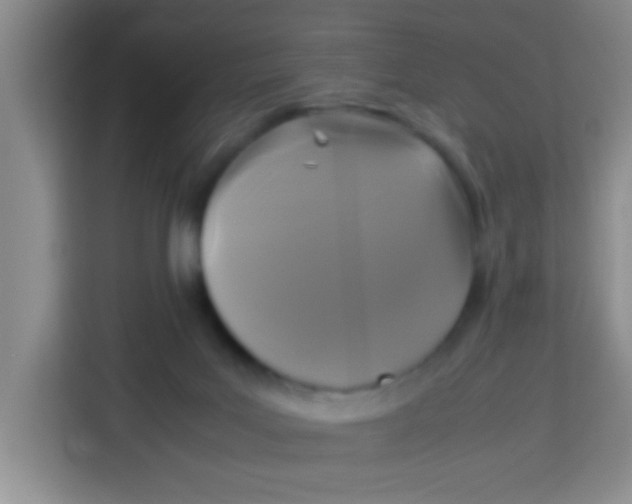 X0000113290027200910051110