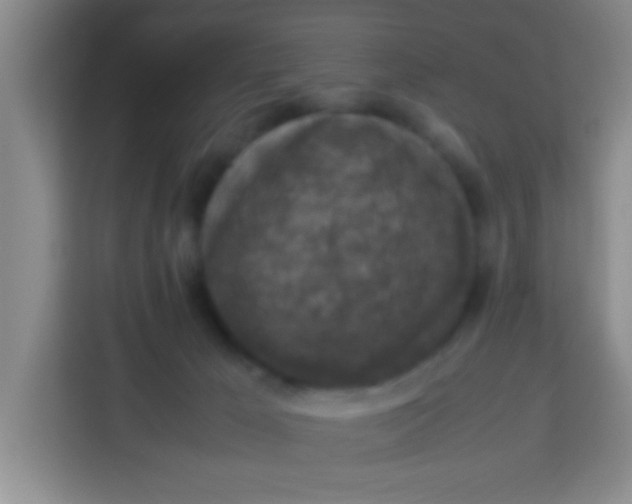 X0000113290029200910051110