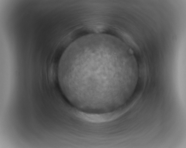 X0000113290030200910051109