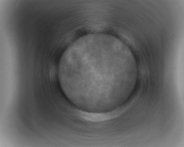 X0000113290034200910051109