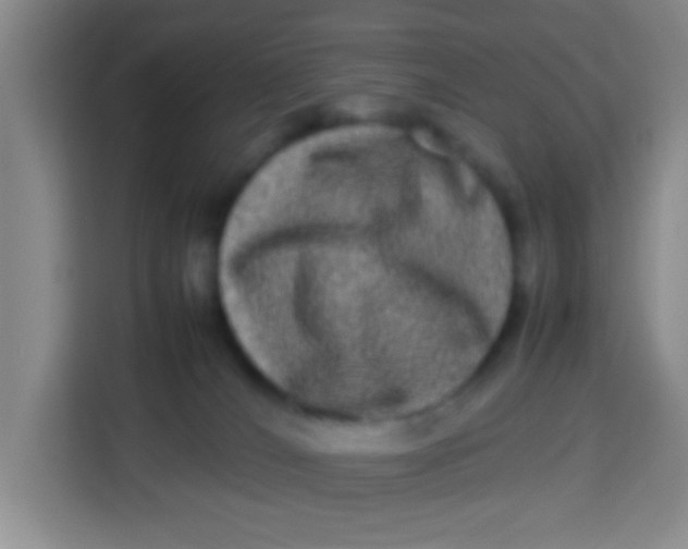 X0000113290036200910051109