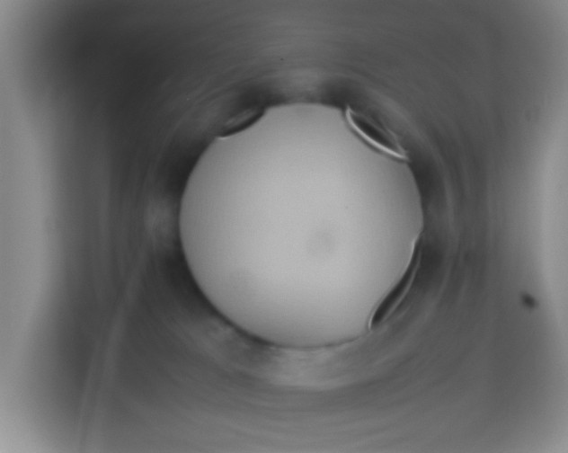 X0000113290037200910051109