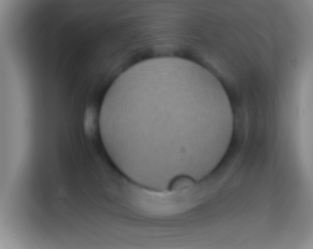 X0000113290038200910051109