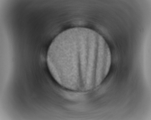 X0000113290040200910051109