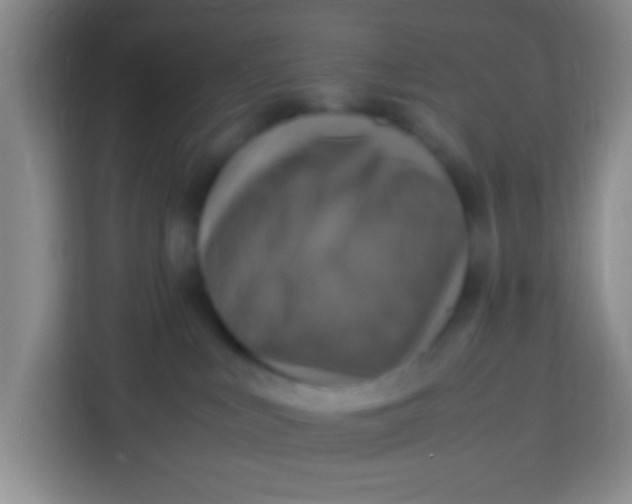 X0000113290043200910051109