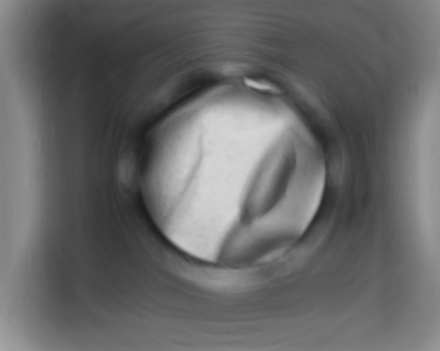 X0000113290044200910051109