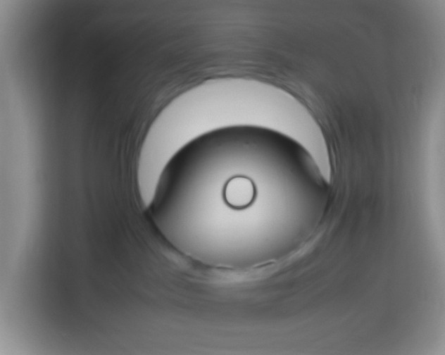 X0000113290045200910051109