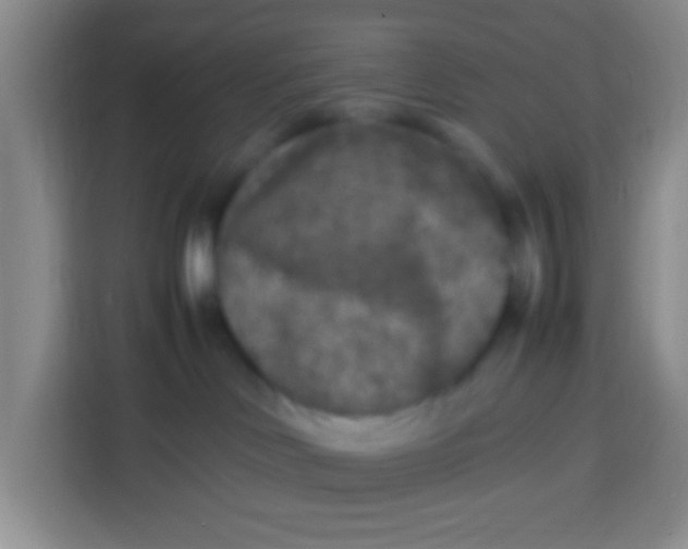 X0000113290046200910051109