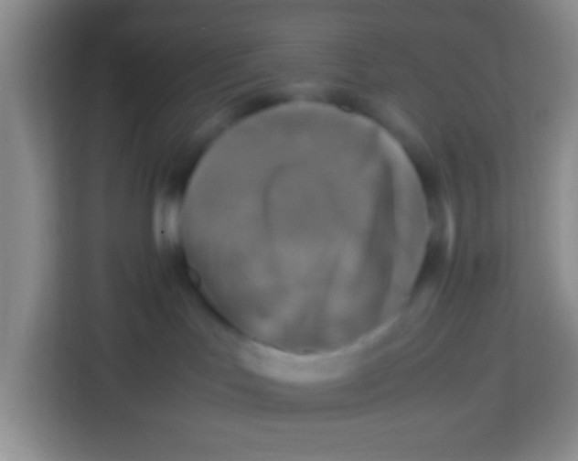 X0000113290047200910051109