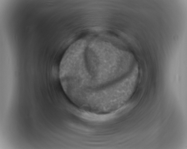 X0000113290048200910051109