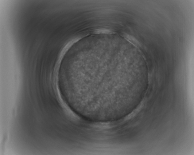 X0000113290049200910051109