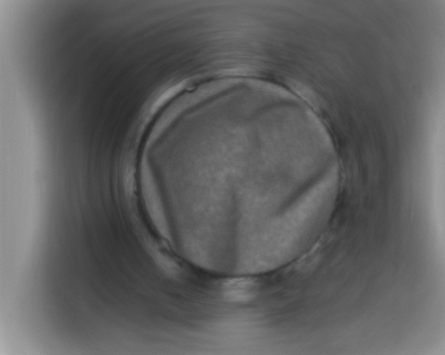 X0000113290050200910051109