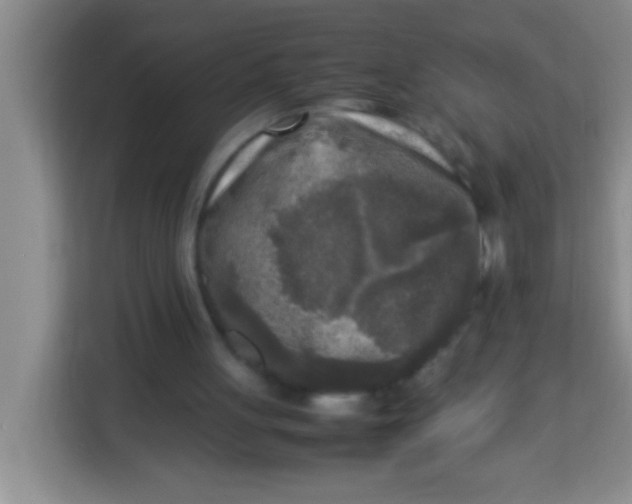 X0000113290051200910051109