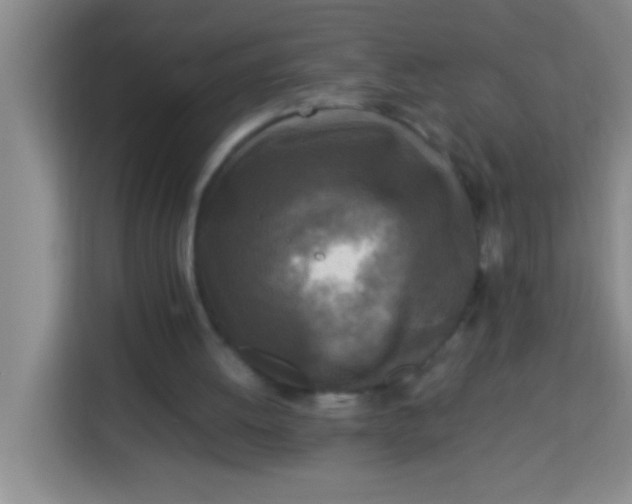 X0000113290052200910051109