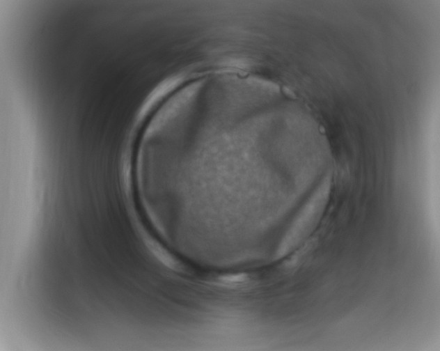 X0000113290054200910051109