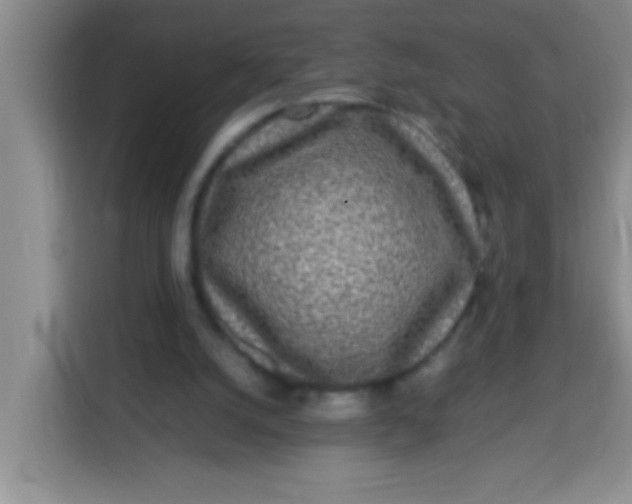 X0000113290056200910051109