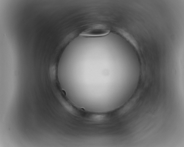 X0000113290057200910051109