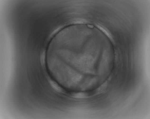 X0000113290058200910051109