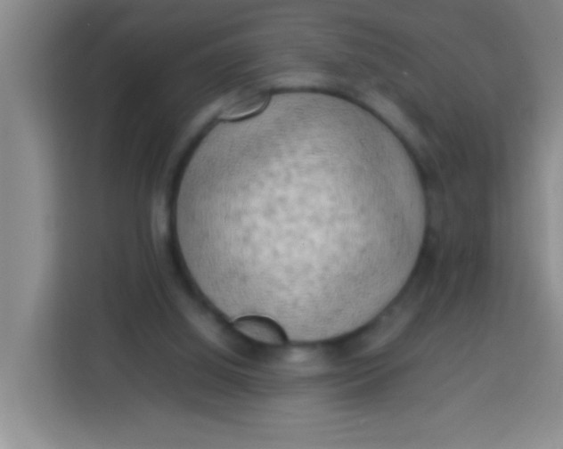 X0000113290060200910051109