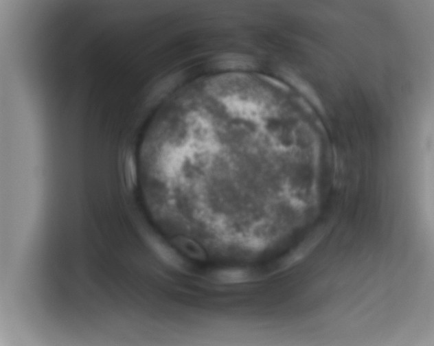X0000113290061200910051109