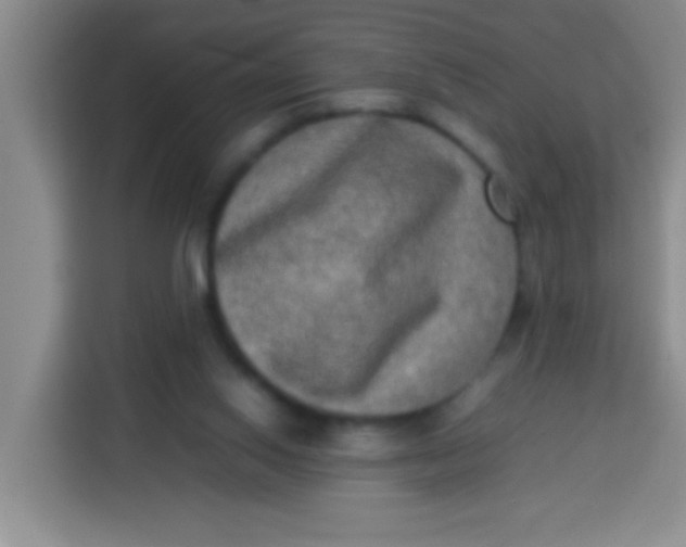 X0000113290062200910051109