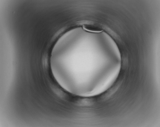 X0000113290064200910051109