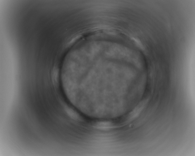 X0000113290066200910051109