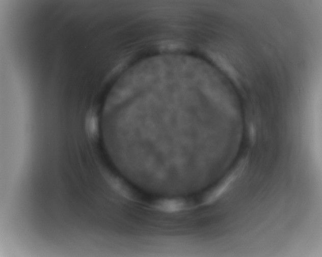 X0000113290067200910051109