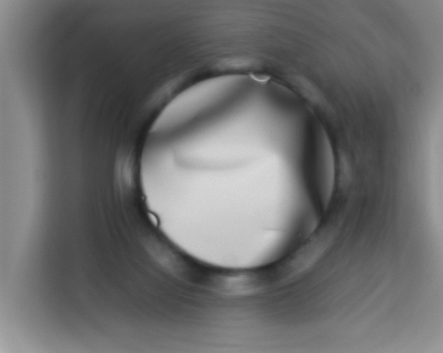 X0000113290068200910051109