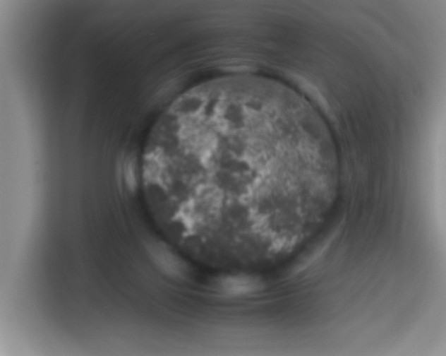 X0000113290069200910051109