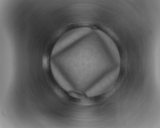 X0000113290070200910051109