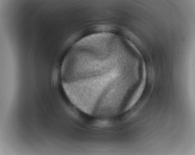 X0000113290071200910051109